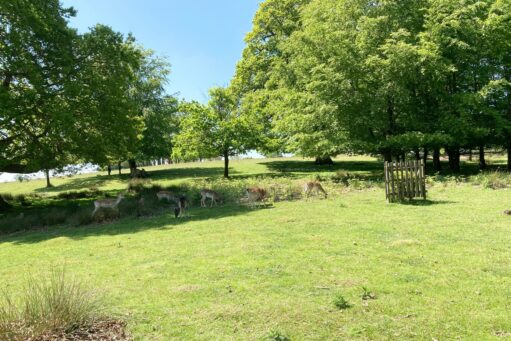 bromley and seven oaks best places to walk for over 60s