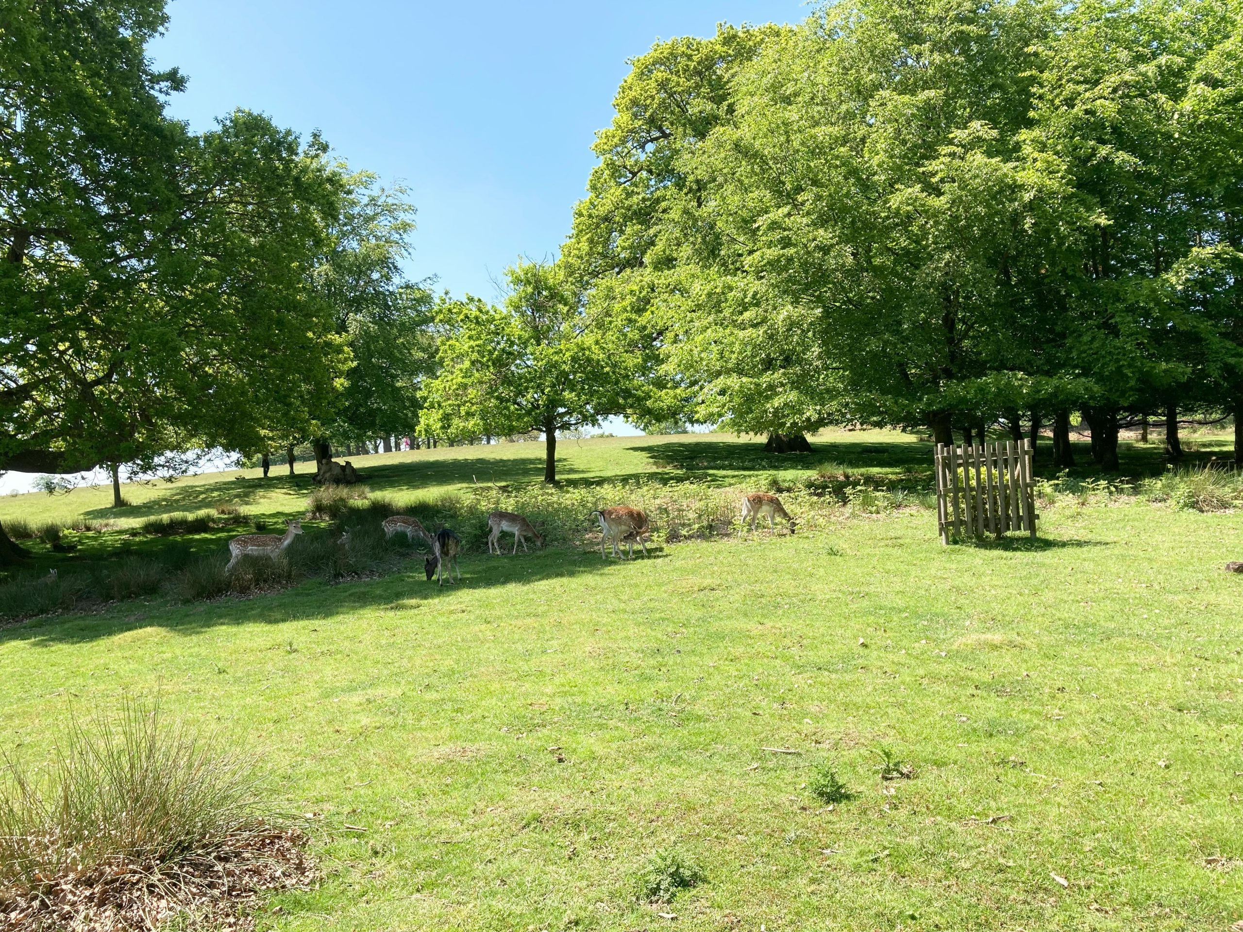 bromley and seven oaks best places to walk for over 60s