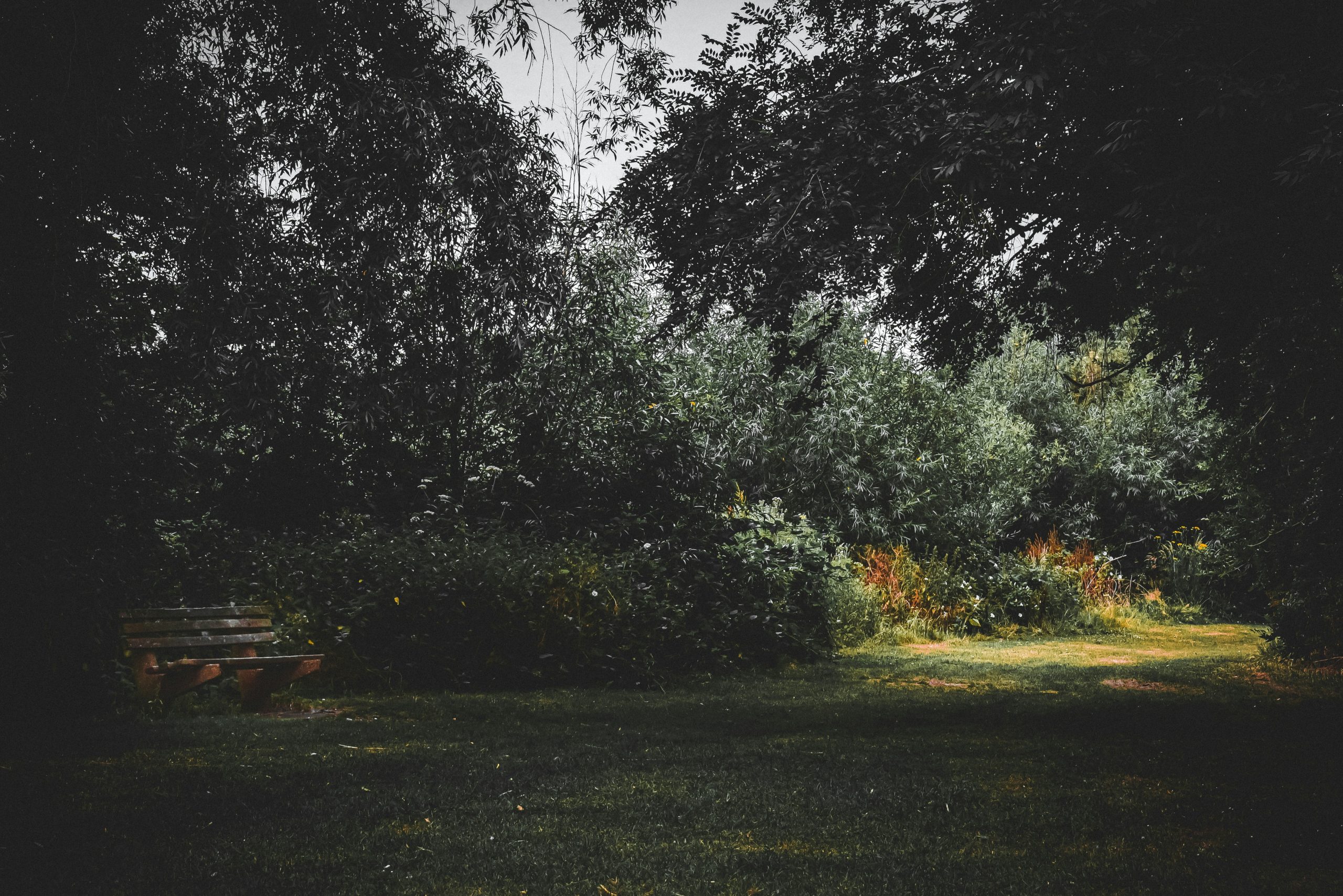 harrow best places to walk for elderly