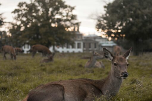 hampton best places for elderly to walk