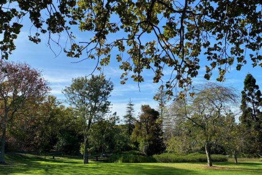 weybridge best places to go for a walk with an elderly person