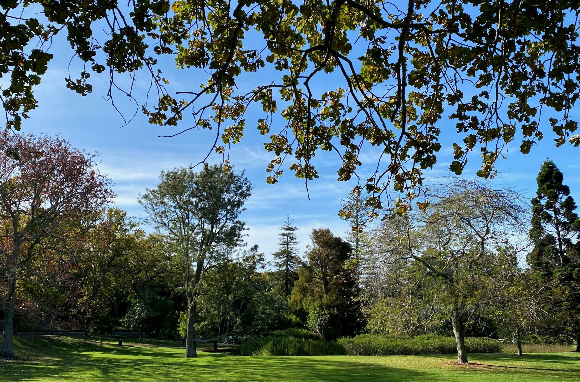 weybridge best places to go for a walk with an elderly person