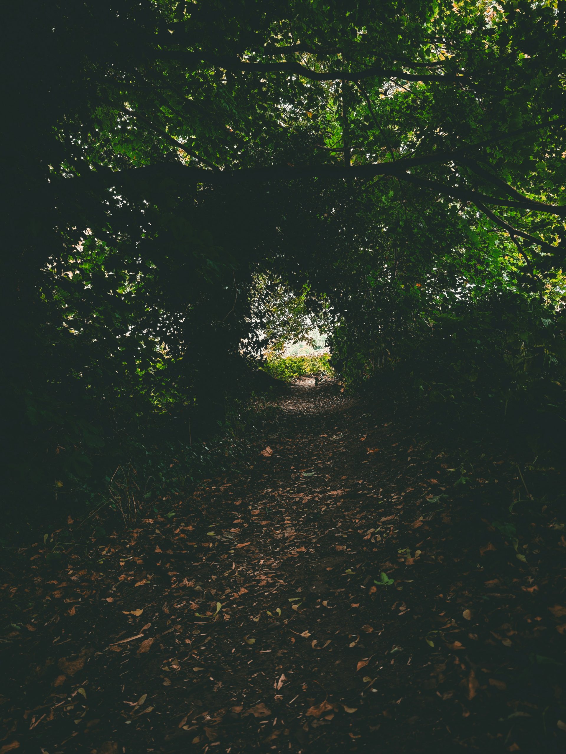 mansfield best places to walk for the elderly