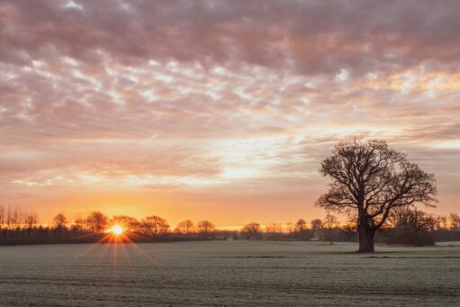 mid and south buckinghamshire best places for elderly to walk