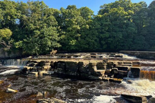 richmond best places for the eldelry to go for a walk