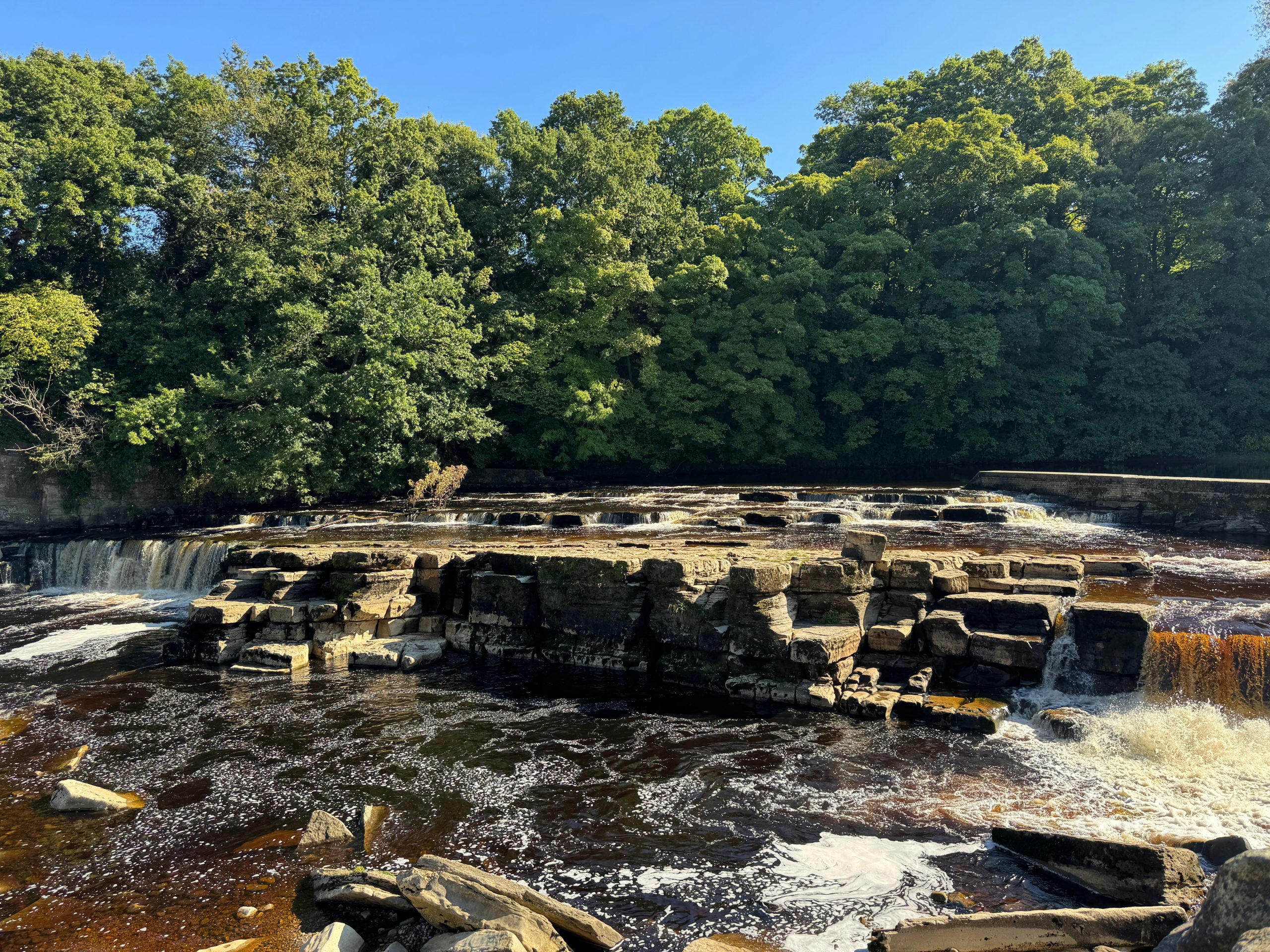 richmond best places for the eldelry to go for a walk