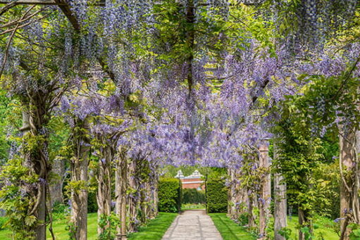 east barnet best places to walk for elderly