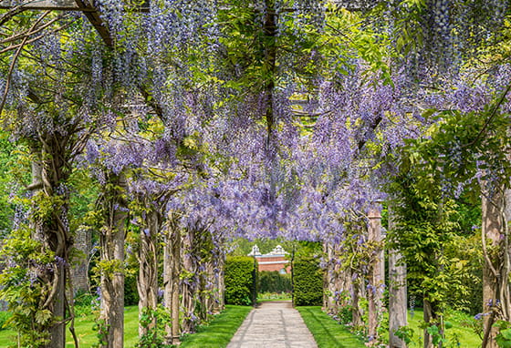 east barnet best places to walk for elderly